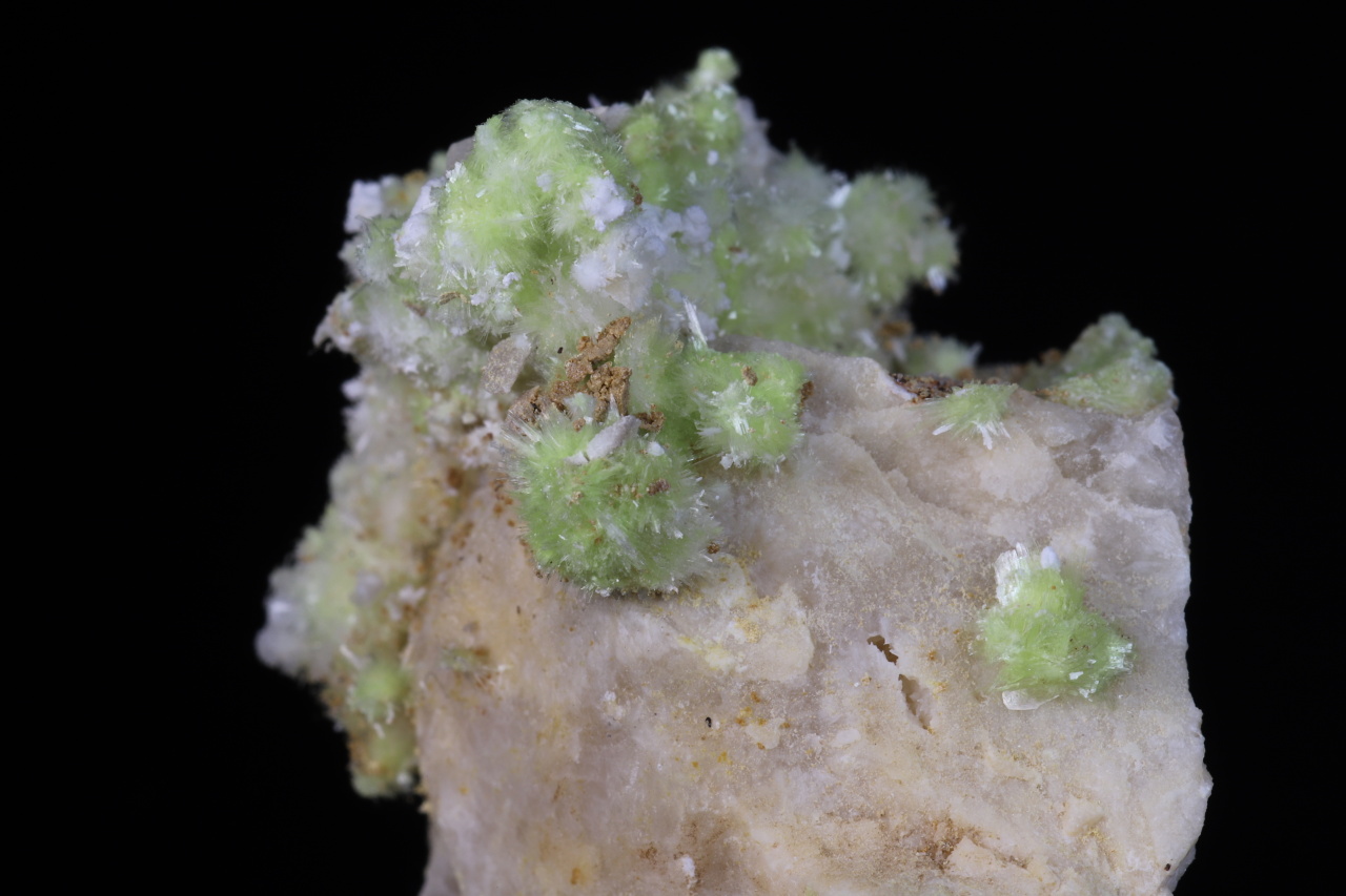 Carlhintzeit, creedit - Obrázek 7