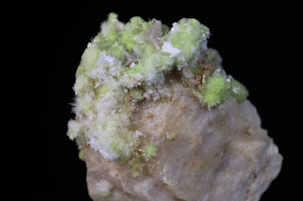 Carlhintzeit, creedit - Obrázek 8