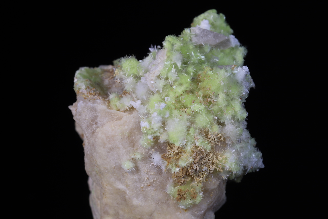 Carlhintzeit, creedit