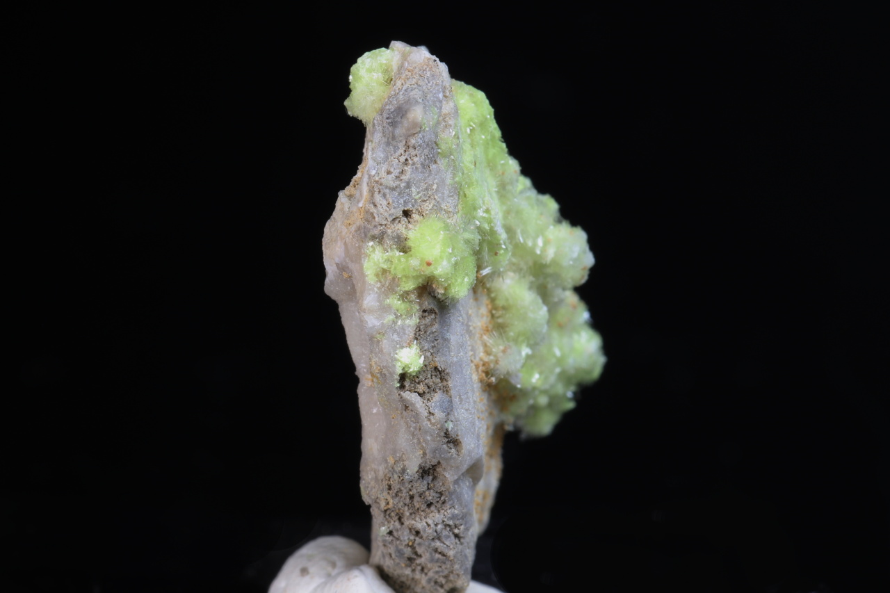 Carlhintzeit, creedit - Obrázek 8