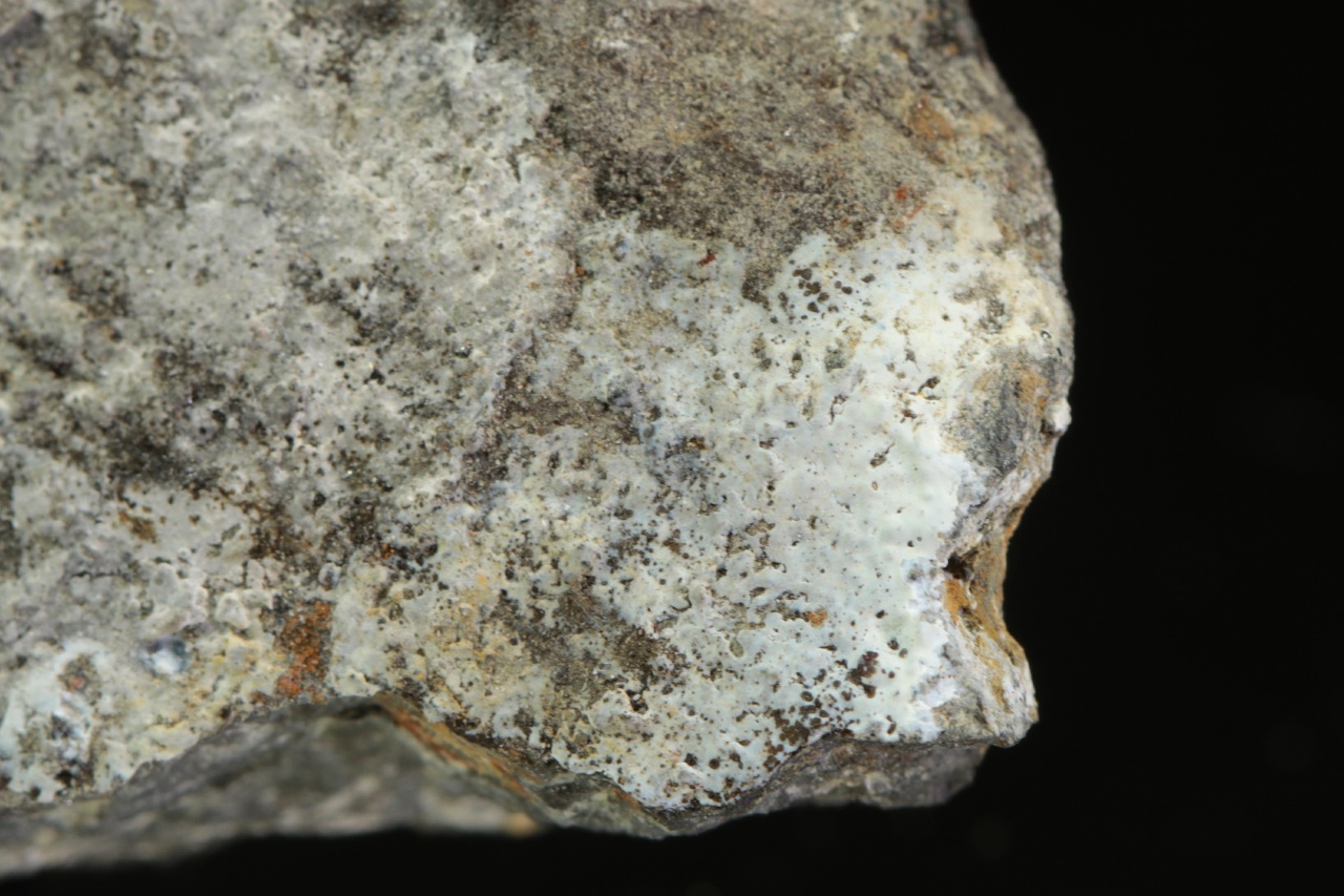 Znucalit - Obrázek 3