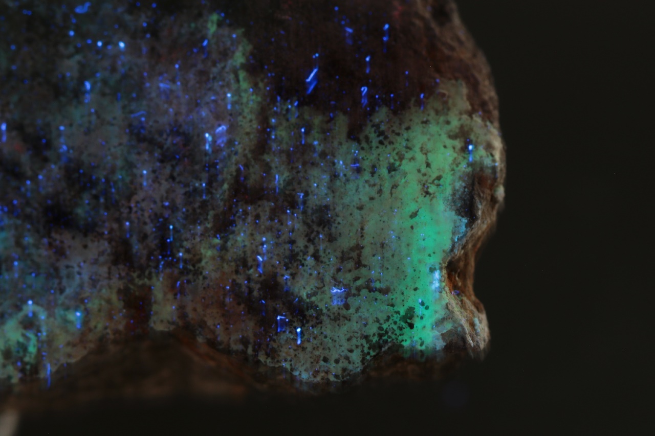 Znucalit - Obrázek 4