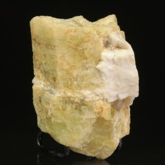 Beryl