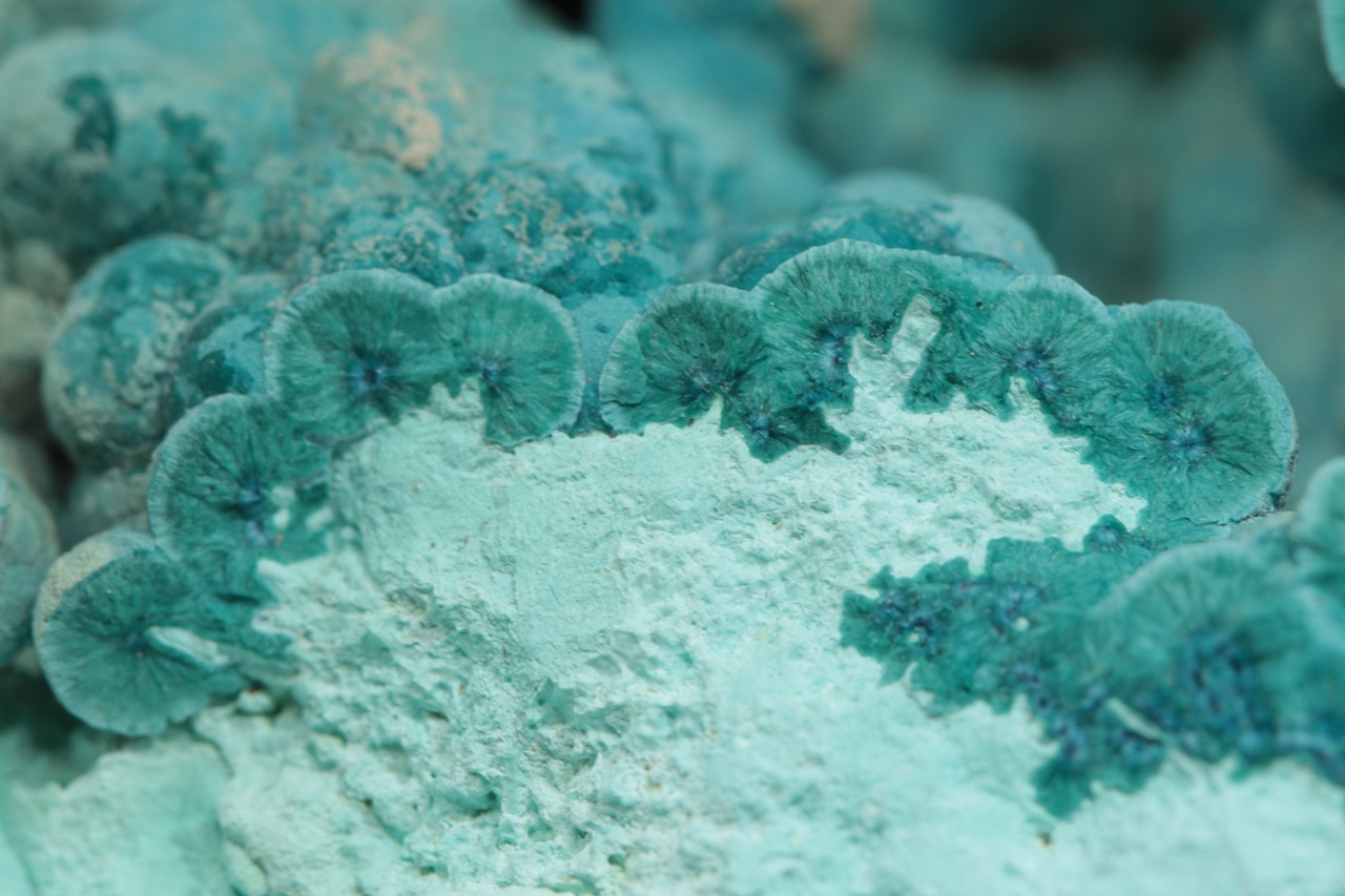 Shattuckit, chrysokol - Obrázek 12