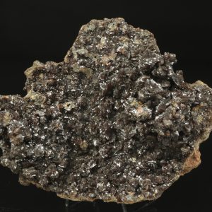 Descloisit